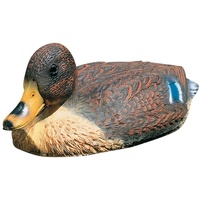 HEISSNER Schwimmente Stockente