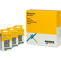 GESIPA Blindniettechnik GmbH Mini-Pack PolyGrip A2-Edelstahl 3,2 x 8