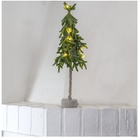 Star Trading - Baum Lummer