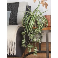 Mica decorations Mica Chlorophytum im Topf grün, 45 cm,