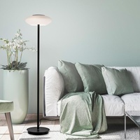 Paul Neuhaus Q-Etienne LED Stehleuchte mit Dimmer und CCT,