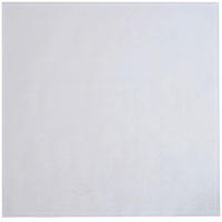 FireFix Bodenplatte Glas 100 x 100 cm Quadra Funkenschutzplatte