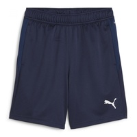 Puma teamGOAL Trainingsshorts Jungen 06 navy/white/persian blue 140