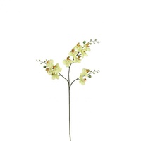 Mica decorations - Mica künstliche Phalaenopsis grün, 75 cm
