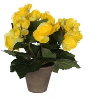 Mica decorations Mica Begonia im Topf gelb, 25 x