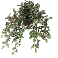 Mica decorations Mica Kunstpflanze Tradescantia hängend grün im Topf