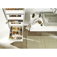 Blum SPACE TOWER LEGRABOX pure mit Reling NL500 KB450,