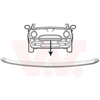 Van Wezel Zier-/Schutzleiste, Stoßfänger Vorne für Mini