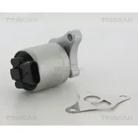 TRISCAN AGR-Ventil