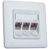 BTR Netcom Anschlussdose E-DAT modul 3x8(8) UP 1309131002-E rws