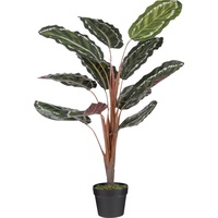 Mica decorations Mica Kunstpflanze Calathea roseopicta im Topf grün