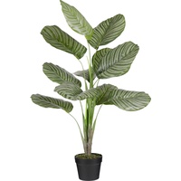 Mica decorations Mica Kunstpflanze Calathea orbifolia im Topf grün