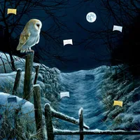 Coppenrath Verlag Zettelkalender Magie und Mythos der Winter-Weihnacht