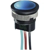 APEM IAR3F1100 IAR3F1100 Drucktaster 24 V/DC 2 A 1