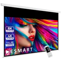ESmart Professional MIMOTO Tageslicht-Motor Leinwand grau 304,8 cm 120