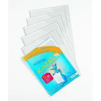 Tarifold Magnet-Tasche KANG Easy load magnetic, DIN A5