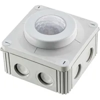 Pracht Tageslicht/Bewegungssensor XLS CCS HALL