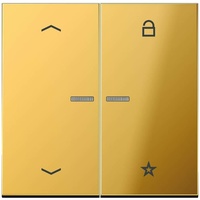 Jung FMGO1701P eNet Funk-Steuertaste \"Pfeile\" goldfarben Serie LS, goldfarben