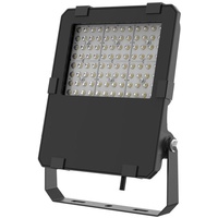 Enovalite LED-Fluter PRO, EEK: D, 100W, 13000lm, 4000K, schwarz