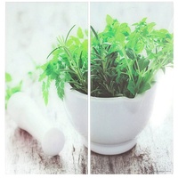  Herdabdeckplatten 2er Set HERBS, Weiß - Grün - Glas