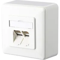 BTR Netcom Anschlußdose Cat.6 rws E-DATC6 8/8(8)APrws