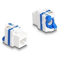 DeLock Keystone-Modul