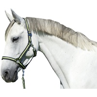 Covalliero Nylonhalfter Hippo, Foal anthrazit/lemon