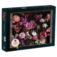 Princeton Architectural Press 9781648960031 Toy