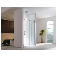 Glaszentrum Hagen Nischentür Schiebetür 120 x 195 cm