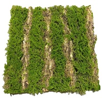Hti-Living Moosmatte Furche 50 x 50 cm Kunstpflanze Flora