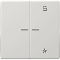 Jung eNet Funk-Steuertaste FM LS 1701 LG