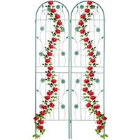 Relaxdays Rankgitter, 2er Set, 200 x 50 cm, freistehend,