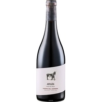 Bodega Pago Ayles Aylés Cuesta del Herrero 2022