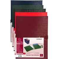 Exacompta 22090E 10er Pack Sammelmappe Extensor mit dehnbahrem Rücken