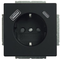 Busch-Jaeger SCHUKO Steckdose 20 EUCB2USBAC-885
