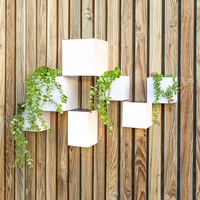 Newgarden New Garden WALLY 12X12X18 SOLAR WALL