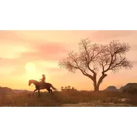 Rockstar Games Red Dead Redemption PS4