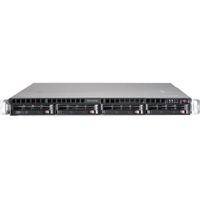 Bluechip SERVERline R41305s (850524)