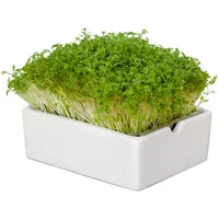 Werkstatt-design Anzuchtset Microgreens, Porzellanschale mit Edelstahleinsatz, inkl. 2 Bio-Saatpads