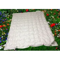 Betten Hofmann Sommerdecke Daunendecke Punktstepp 155x220 cm 100% Daunen,