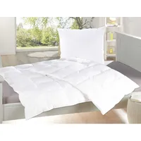 BestLivings Betten-Set 135x200cm / 80x80cm, milbendichter Spezialbezug, Mikrofaser Bettdecke