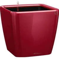 LECHUZA Quadro LS 21 Komplettset 21 x 21 x