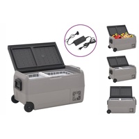 VidaXL Kühlbox mit Rollen und Adapter Schwarz & Grau