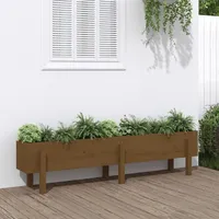 VidaXL Hochbeet Honigbraun 160x30x38 cm Massivholz Kiefer