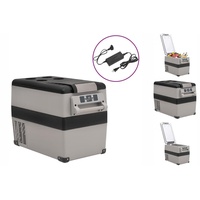 VidaXL Kühlbox mit Griff und Adapter Schwarz und Grau