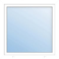 Meeth Fenster 100 x 60 cm DIN rechts 1