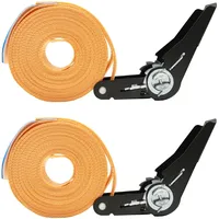 Baumarktplus 2x Spanngurt mit Ratsche 6m einteilig 800kg 0,8t