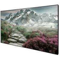Deluxx Cinema Slimframe Soundvision Rahmenleinwand - 110 Zoll (243