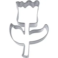 Städter Tulpe 5,5 cm