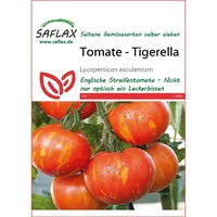 SAFLAX - Tomate - Tigerella - 10 Samen -